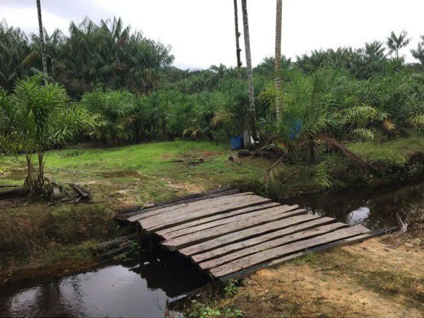 Foto 1 de Fazenda/Sítio à venda, 270000m² em Iate Clube do Rio Verde, Cananéia