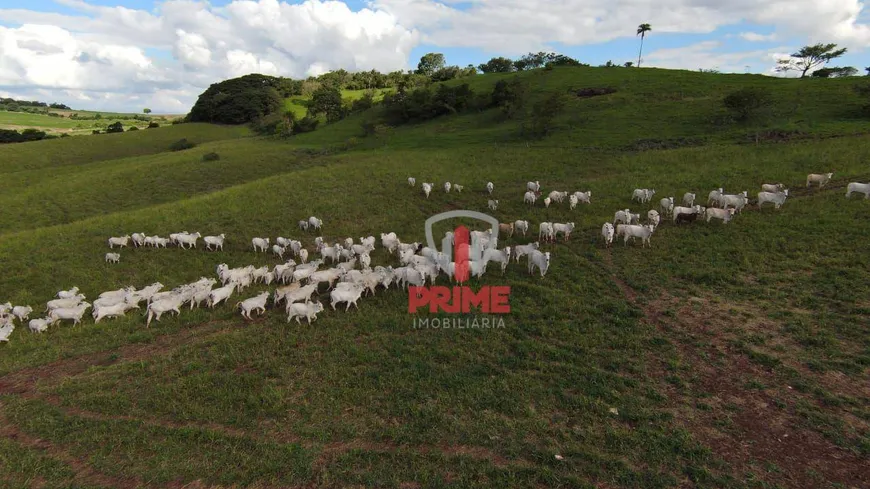 Foto 1 de Fazenda/Sítio à venda, 1052700m² em Zona Rural, Uraí