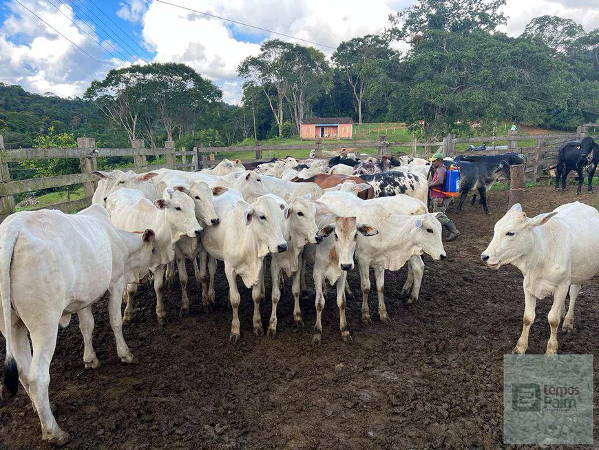 Foto 1 de Fazenda/Sítio com 3 Quartos à venda, 103m² em Centro, Camacan