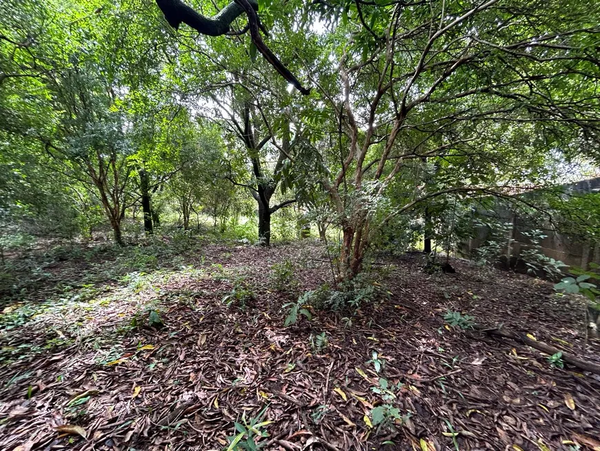 Foto 1 de Lote/Terreno à venda, 1300m² em Trevo, Belo Horizonte