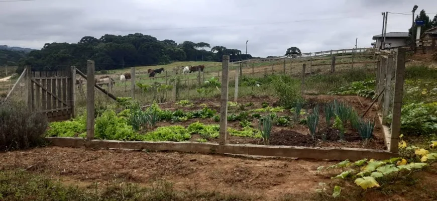 Foto 1 de Fazenda/Sítio com 2 Quartos à venda, 24100m² em , Contenda