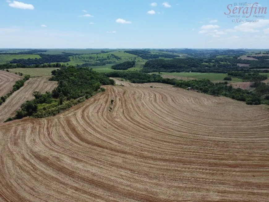 Foto 1 de Fazenda/Sítio com 1 Quarto à venda, 10m² em Alto Alegre, Cascavel