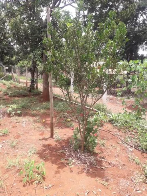 Foto 1 de Fazenda/Sítio com 3 Quartos à venda, 90m² em Chacara Represa de Miranda, Uberlândia