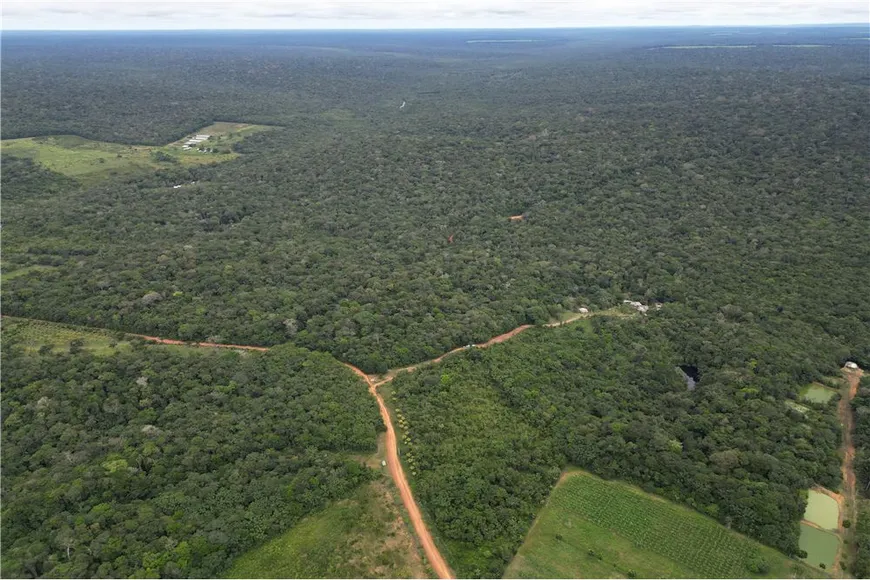 Foto 1 de Fazenda/Sítio com 8 Quartos à venda, 636345m² em Zona Rural, Presidente Figueiredo