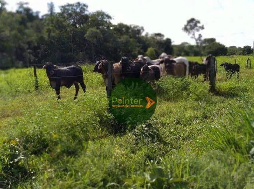 Foto 1 de Fazenda/Sítio à venda, 3539250m² em Zona Rural, Dianópolis
