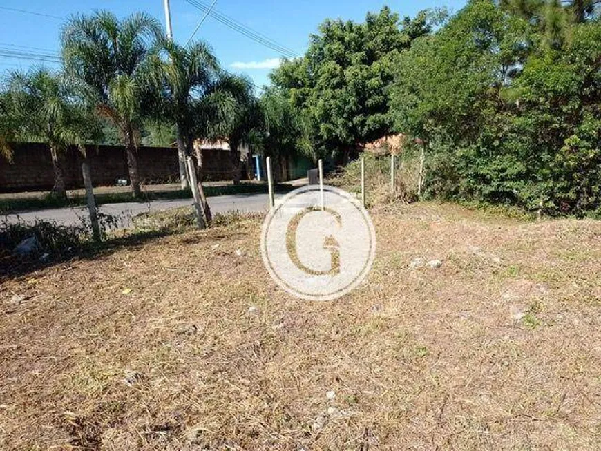 Foto 1 de Lote/Terreno à venda, 253m² em Centro, Cotia