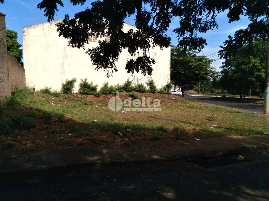 Foto 1 de Lote/Terreno à venda, 302m² em Mansorur, Uberlândia