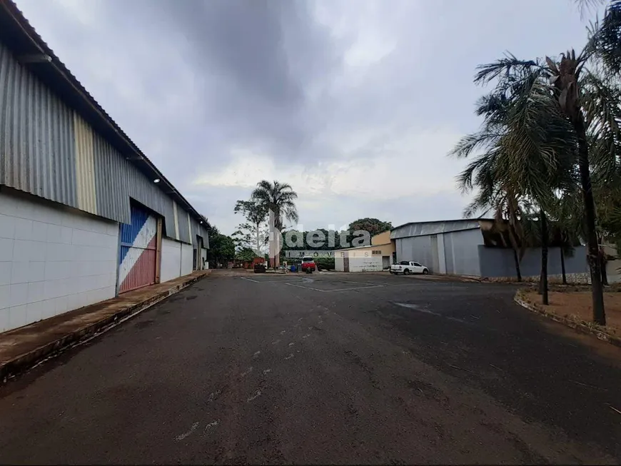 Foto 1 de Galpão/Depósito/Armazém para alugar, 350m² em Chácaras Tubalina E Quartel, Uberlândia