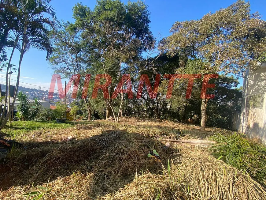 Foto 1 de Lote/Terreno à venda, 548m² em Tucuruvi, São Paulo