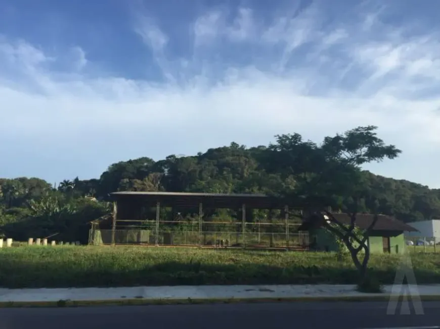 Foto 1 de Lote/Terreno à venda em Centro, Joinville