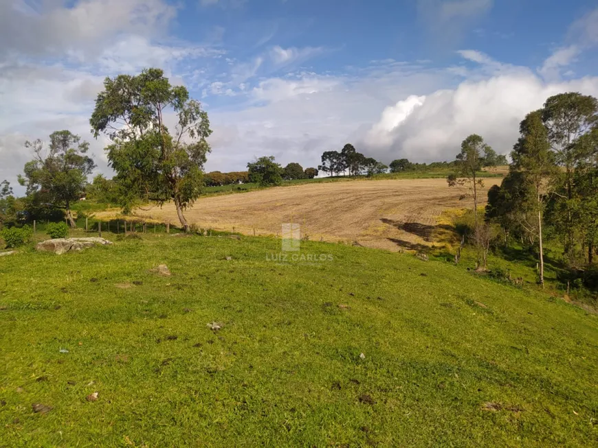 Foto 1 de Fazenda/Sítio com 1 Quarto à venda, 23m² em Centro, Jaguapitã