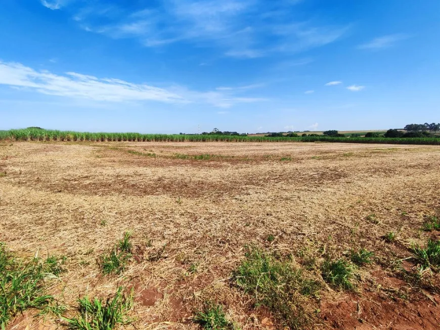 Foto 1 de à venda, 11095m² em Area Rural de Rio das Pedras, Rio das Pedras