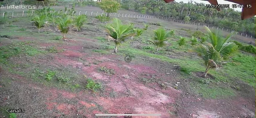 Foto 1 de Fazenda/Sítio à venda em Centro, Chapadinha