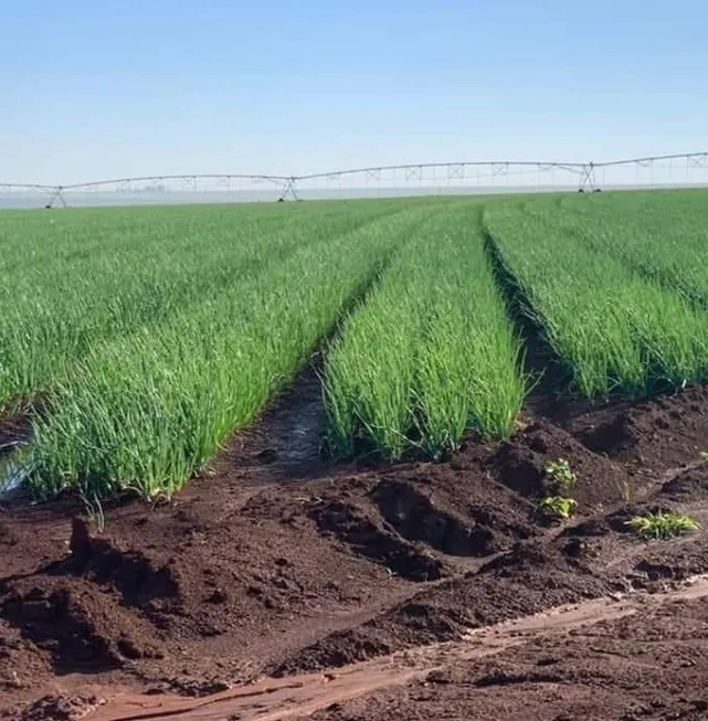 Foto 1 de Fazenda/Sítio com 2 Quartos à venda, 3850000m² em Zona Rural, Araxá