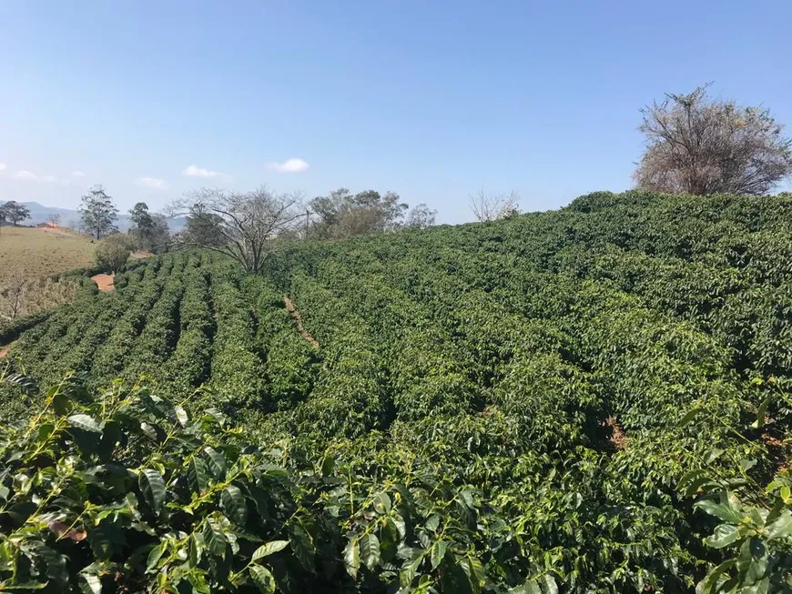 Foto 1 de Fazenda/Sítio à venda em Zona Rural, Ouro Fino