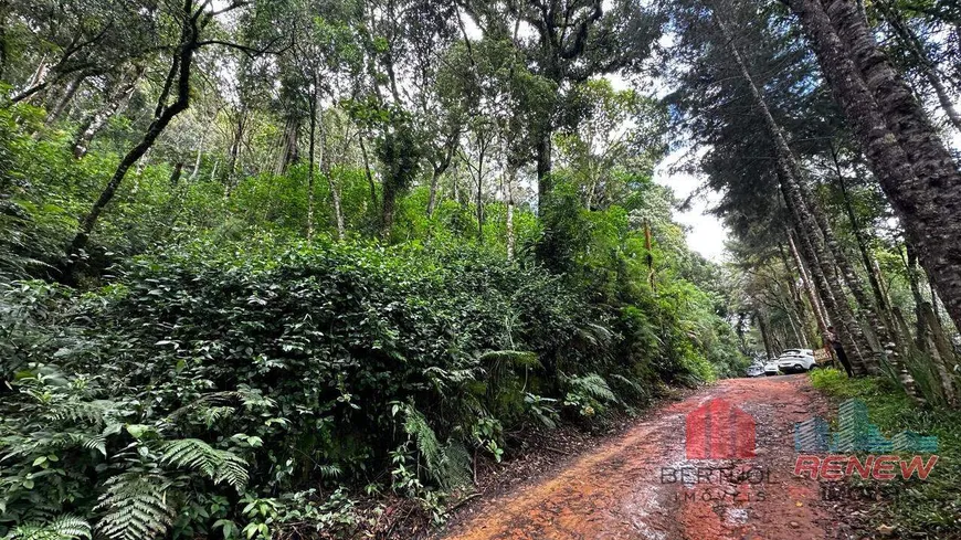 Foto 1 de Lote/Terreno à venda, 600m² em Monte Verde, Camanducaia
