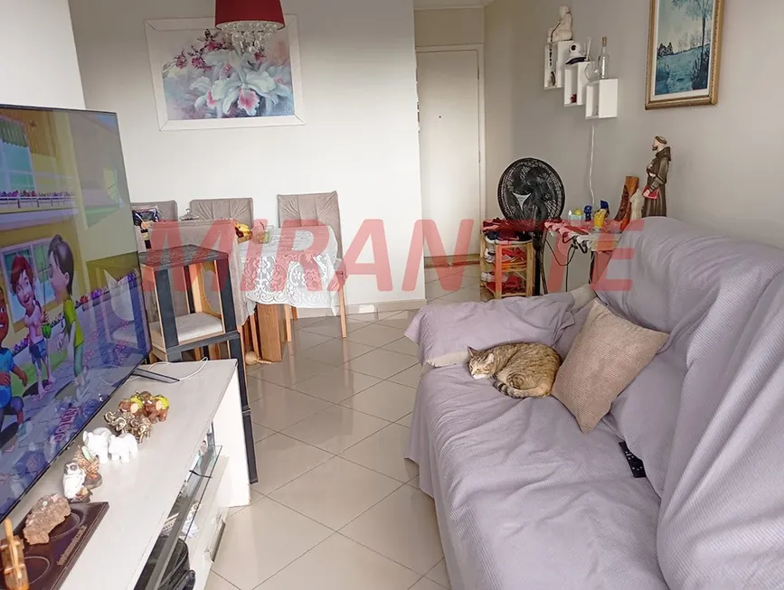 Foto 1 de Apartamento com 3 Quartos para venda ou aluguel, 60m² em Vila Nova Cachoeirinha, São Paulo