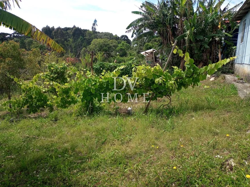 Foto 1 de Fazenda/Sítio com 3 Quartos à venda, 5200m² em Palmitalzinho, Quatro Barras