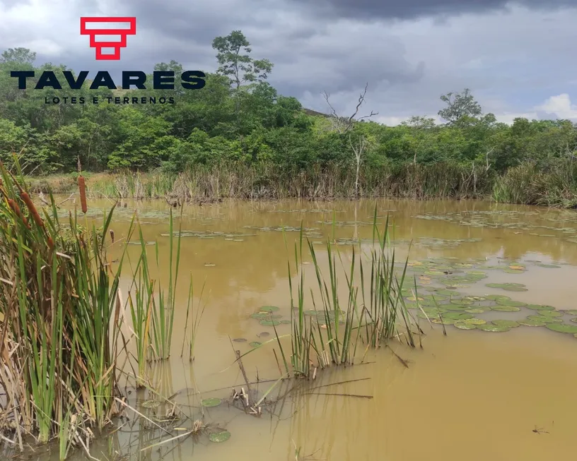 Foto 1 de Lote/Terreno à venda, 20000m² em , Caetanópolis