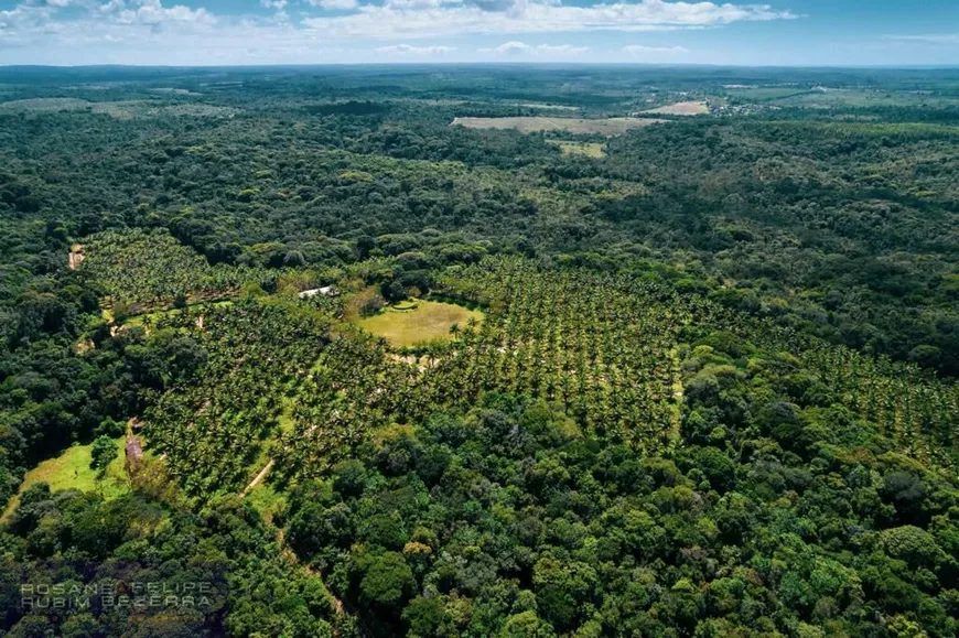 Foto 1 de Fazenda/Sítio com 5 Quartos à venda, 694888m² em Porto Sauípe, Entre Rios