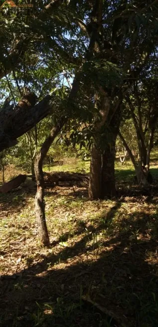 Foto 1 de Lote/Terreno à venda, 1860m² em Luiz Fagundes, Mairiporã