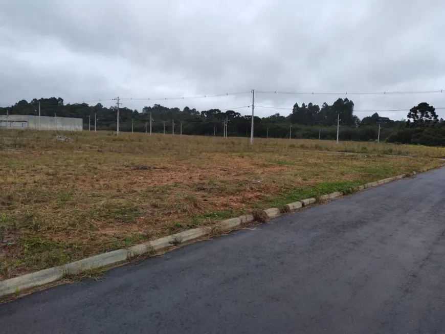 Foto 1 de Lote/Terreno à venda, 150m² em Eucaliptos, Fazenda Rio Grande