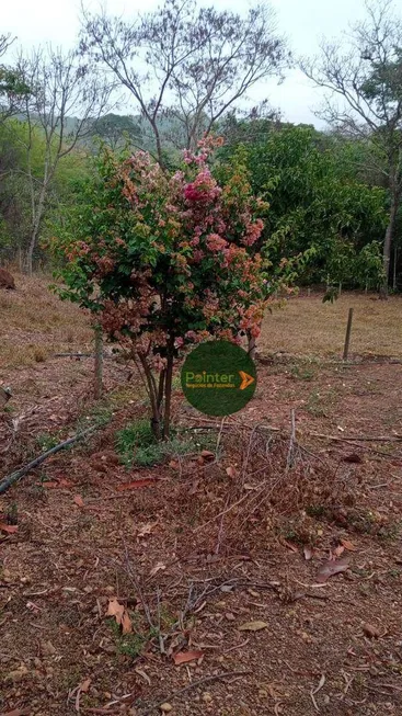 Foto 1 de Fazenda/Sítio com 3 Quartos à venda, 72600m² em Zona Rural, Caldazinha