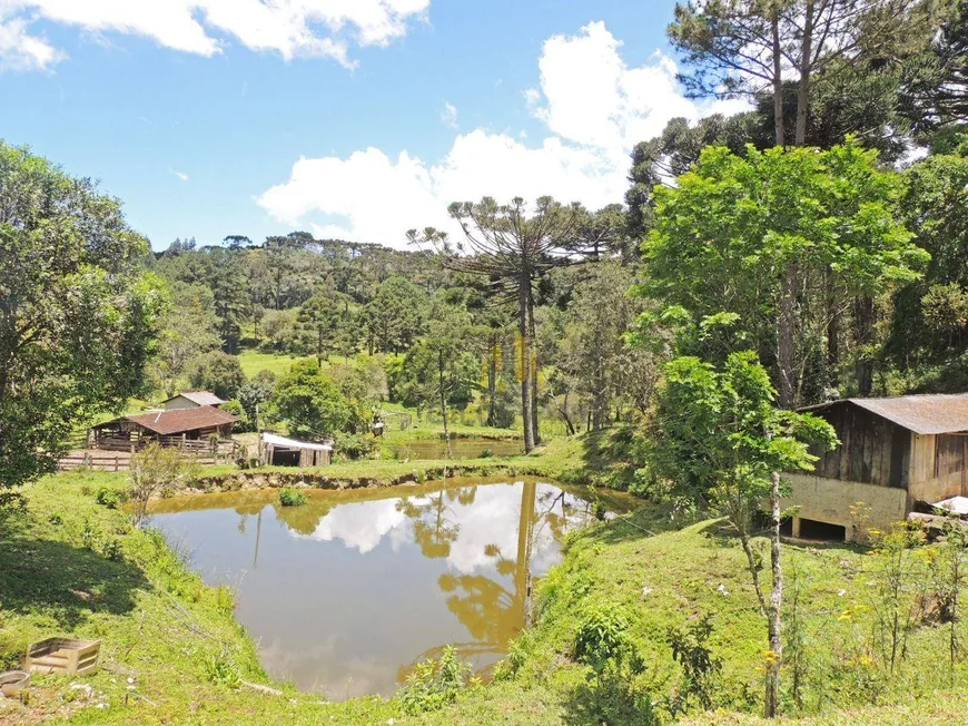 Foto 1 de Fazenda/Sítio com 2 Quartos à venda, 2651420m² em Taquari, Campina Grande do Sul