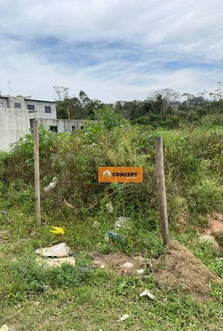 Foto 1 de Lote/Terreno à venda, 250m² em Parque Palmeiras, Suzano