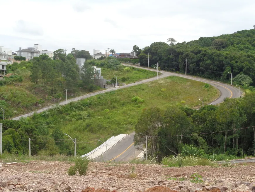 Foto 1 de Lote/Terreno à venda, 600m² em Universitario, Bento Gonçalves