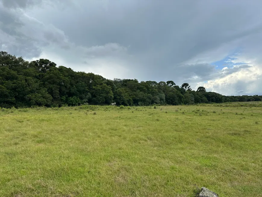 Foto 1 de Fazenda/Sítio à venda, 20000m² em , Urubici