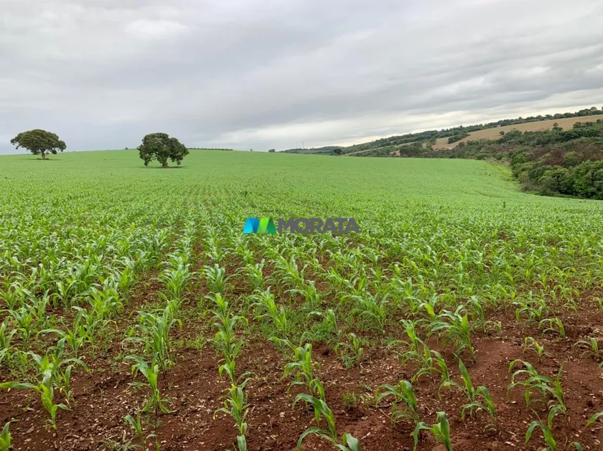 Foto 1 de Fazenda/Sítio com 1 Quarto à venda, 70m² em Zona Rural, Lavras