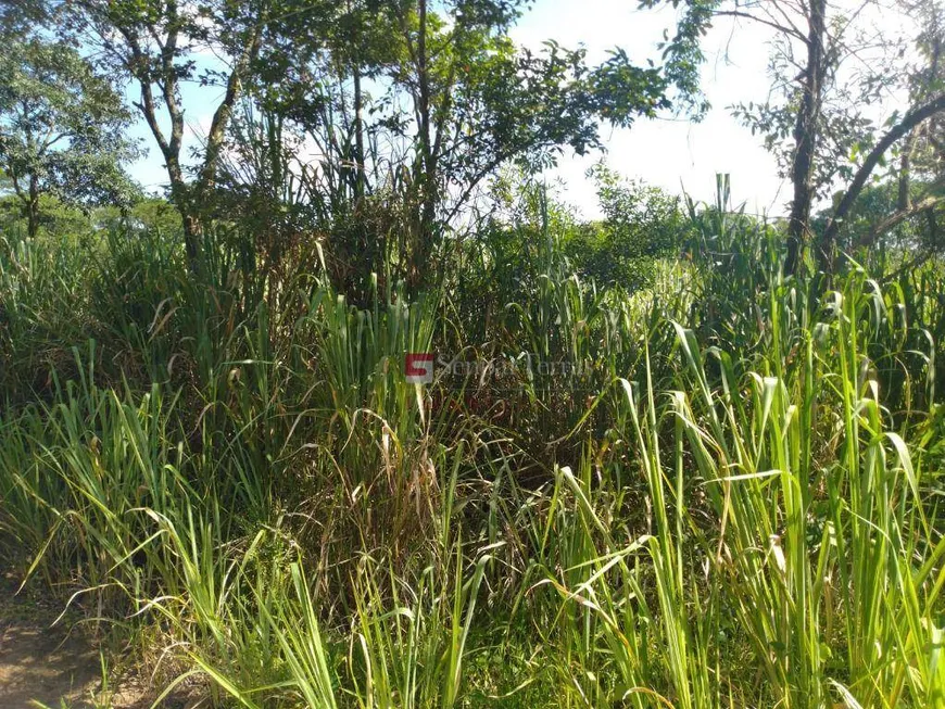 Foto 1 de Lote/Terreno à venda, 12000m² em Brasil, Itu