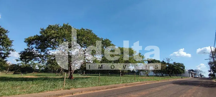 Foto 1 de Lote/Terreno à venda, 401m² em Jardim Karaíba, Uberlândia