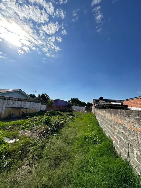 Foto 1 de Lote/Terreno à venda, 420m² em Maria Antonieta, Pinhais