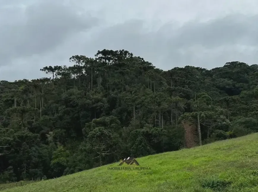 Foto 1 de Fazenda/Sítio à venda, 44000m² em Zona Rural, Urubici