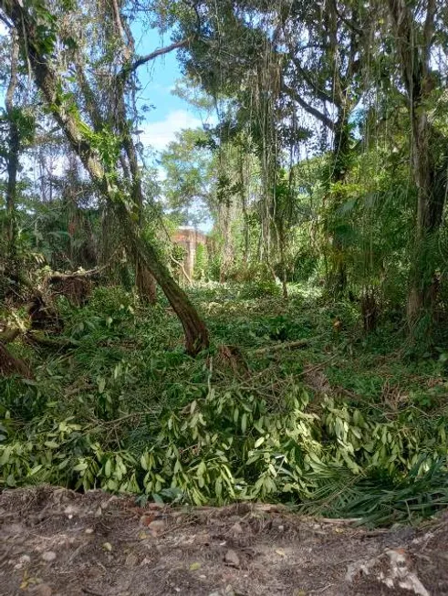 Foto 1 de Lote/Terreno à venda em Suarão, Itanhaém