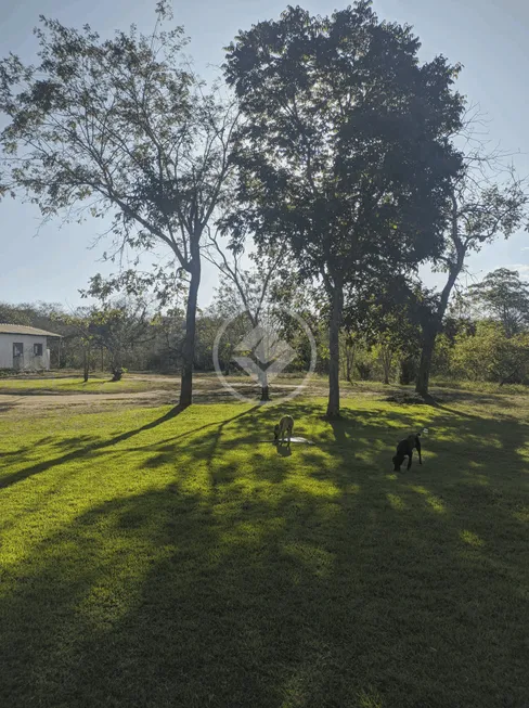 Foto 1 de Fazenda/Sítio à venda, 250m² em Novo Tempo, Cuiabá