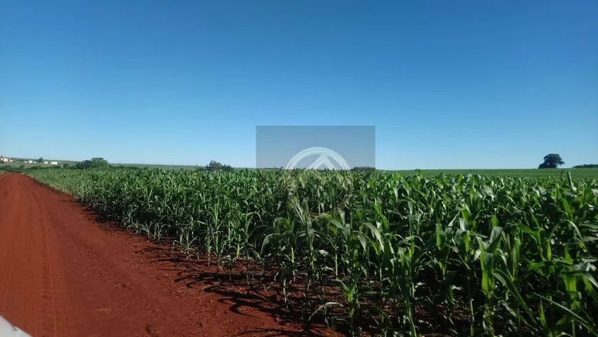 Foto 1 de Fazenda/Sítio à venda, 5795900m² em Zona Rural, Wenceslau Braz