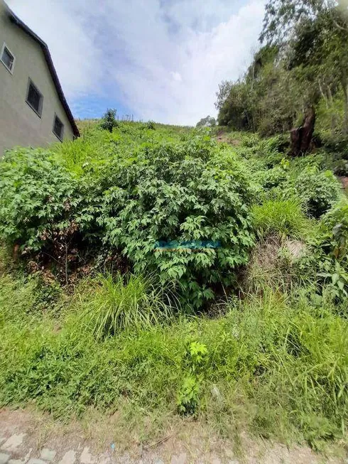 Foto 1 de Lote/Terreno à venda, 797m² em Pimenteiras, Teresópolis