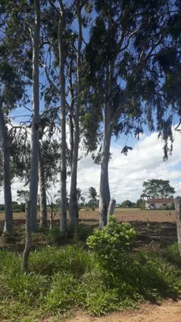 Foto 1 de Fazenda/Sítio à venda, 60000m² em , Vera Cruz