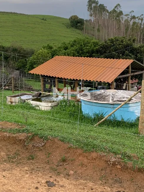 Foto 1 de Fazenda/Sítio com 7 Quartos à venda, 100m² em Centro, Santa Rita de Caldas