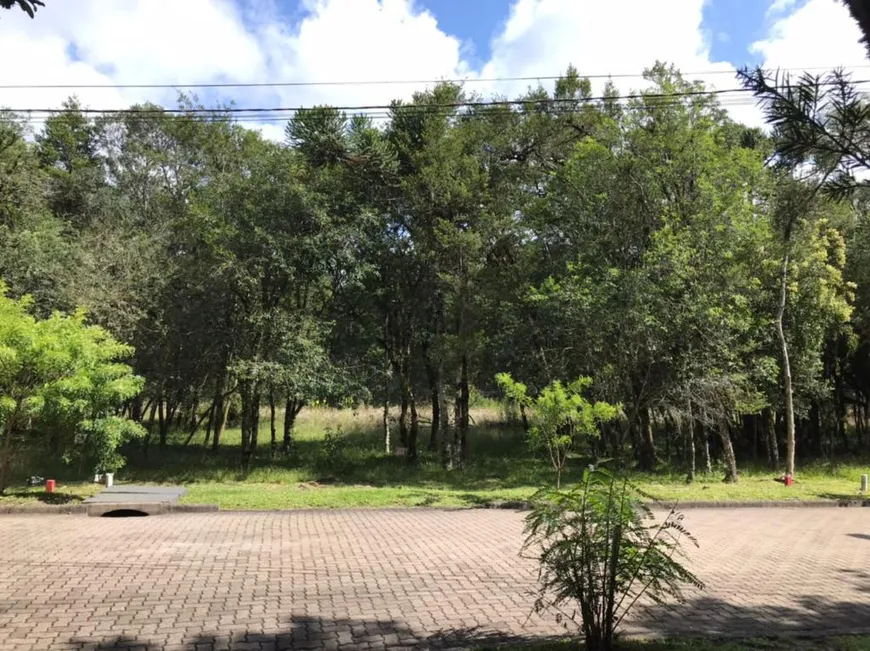 Foto 1 de Lote/Terreno à venda, 931m² em , Canela