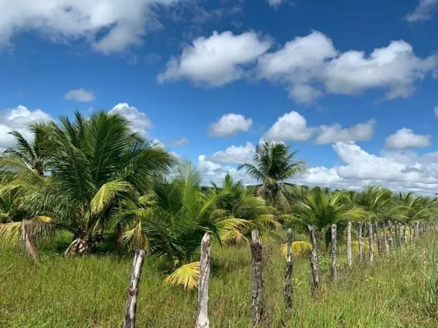 Foto 1 de Fazenda/Sítio com 3 Quartos à venda, 40000m² em Centro, 