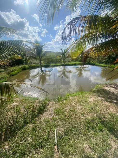 Foto 1 de Fazenda/Sítio com 12 Quartos à venda, 4569m² em Matriz, Vitória de Santo Antão