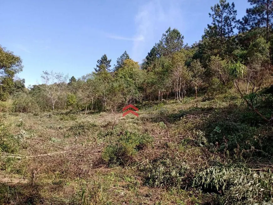 Foto 1 de Lote/Terreno à venda, 77500m² em Murundu, Ibiúna