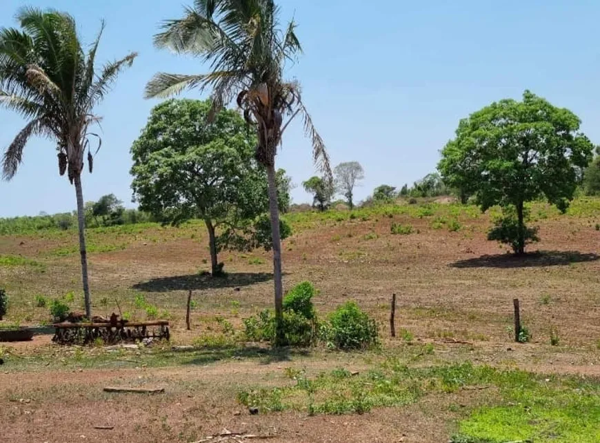 Foto 1 de Fazenda/Sítio à venda, 220m² em Rural, Paranã