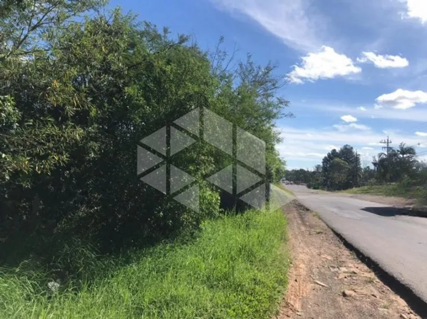 Foto 1 de Lote/Terreno para alugar, 600m² em Vera Cruz, Gravataí