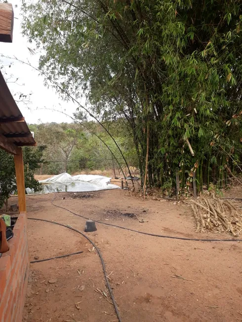 Foto 1 de Fazenda/Sítio com 2 Quartos à venda, 220m² em , Palestina de Goiás