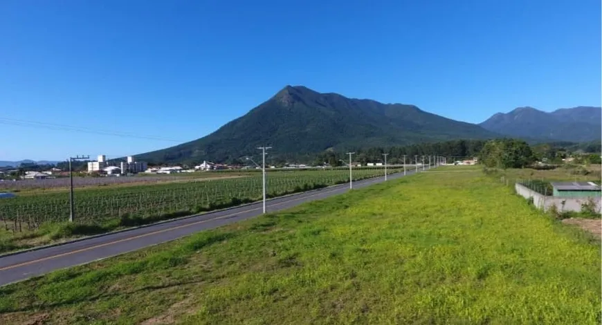 Foto 1 de Lote/Terreno à venda, 215m² em Guarda do Cubatão, Palhoça